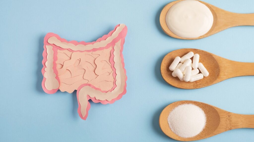 O Papel dos Probióticos na Saúde Intestinal